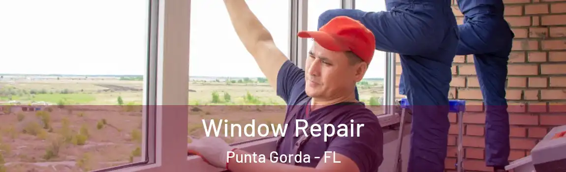  Window Repair Punta Gorda - FL