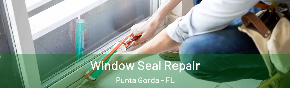  Window Seal Repair Punta Gorda - FL
